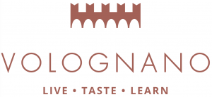 Volognano logo and the text has a specific function