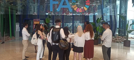 sustainability master students visiting fao offices