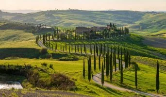 800_FLO_Toskana_2230415385