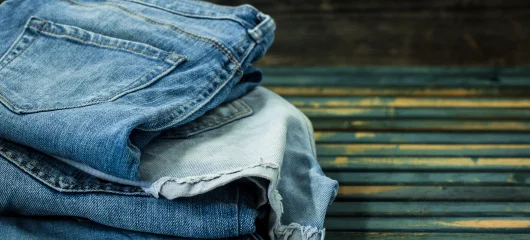 Levis Company Presentation